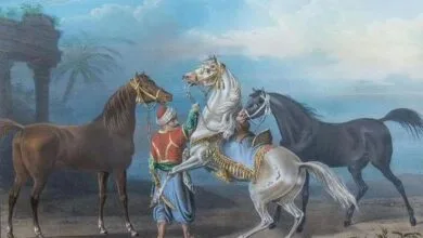 السائس فی المنام
