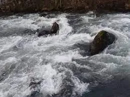 سل فی المنام
