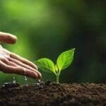 قدوم الغائب فی المنام