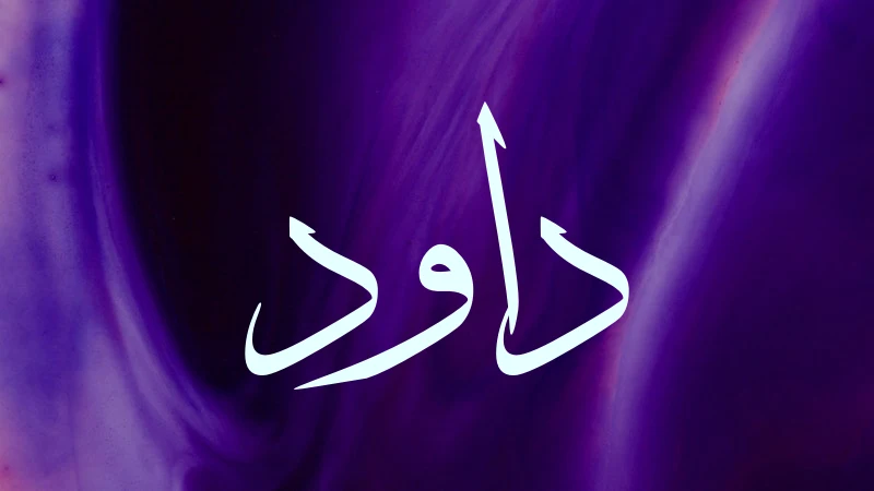 داؤود فی المنام