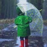 شتاء فی المنام