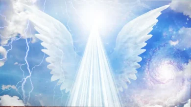 في رؤيا الملائكة عليهم السلام فی المنام