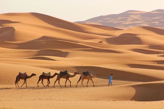 المفازة فی المنام