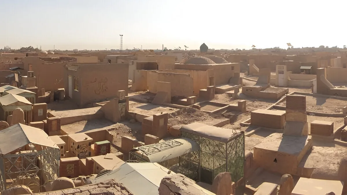 تعرف على تفسير حلم الكوت في المنام لإبن سيرين
